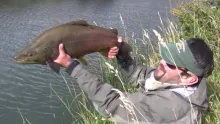 Video thumb for Aysen Rivers Outfitter. season 2011