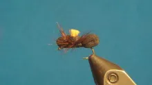 Video thumb for Parachute Humpy Ant