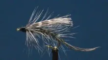 Video thumb for Grizzly Spey