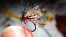 Video thumb for Duckfly Hog Hopper