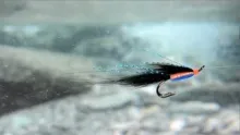 Video thumb for The Haugur Icelandic Salmon Fly