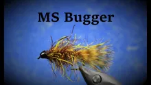 Video thumb for MS Bugger