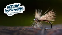 Video thumb for Cree Sedge