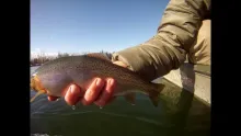 Video thumb for February Day | Flathead River