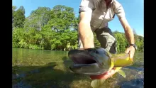 Video thumb for Fly fishing the patagonia