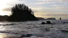 Video thumb for Where the wild fish are