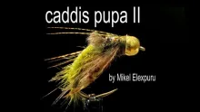 Video thumb for Caddis Pupa II