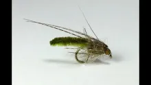 Video thumb for Jyhis chenille caddis pupae