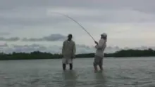 Video thumb for Fly Fishing bonefish holidays in Belize