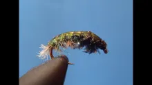 Video thumb for HC Caddis Larva