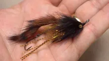 Video thumb for Pine Squirrel Trout Spey Streamer