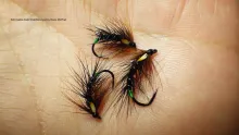 Video thumb for Soft Hackle Kate Snatcher