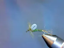 Video thumb for EMT Loop Wing Emerger