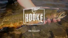 Video thumb for Hooke on the river