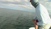 Video thumb for Yucatan's Tarpon Flats