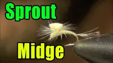 Video thumb for Sprout Midge