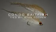 Video thumb for Congo Baitfish