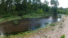 Video thumb for Current River & Little Piney Creek Fly Fishing