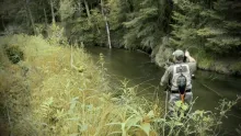 Video thumb for July Fly Fishing in the Midwest