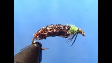 Video thumb for Cased Caddis