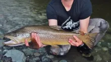 Video thumb for  The trout of Red Bridge