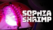 Video thumb for Sophia Shrimp