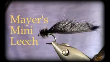 Video thumb for Mayer's Mini Leech