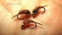 Video thumb for Organza Pheasant Tail Nymph