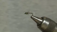 Video thumb for Baetis Style Nymph