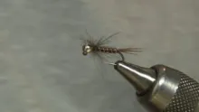 Video thumb for Jig Pheasant Tail Nymph