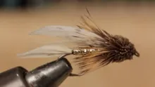 Video thumb for Muddler Minnow