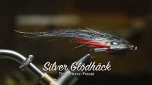 Video thumb for Silver Glödhäck