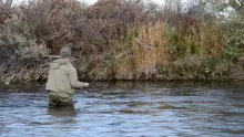 Video thumb for October Gold - Fishing the Bighorn