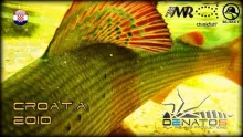 Video thumb for Croatia 2010 Fly Fishing