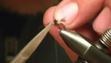 Video thumb for Simple Caddis Emerger