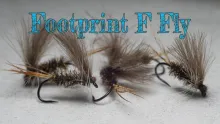 Video thumb for Footprint F Fly