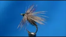 Video thumb for Peacock Caddis