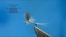 Video thumb for Small Olive CDC Parachute