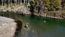 Video thumb for Amazing Sight Fishing for Big Trout!