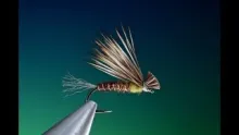 Video thumb for Pheasant Tail X-Caddis