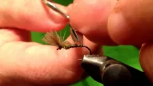 Video thumb for Tying Shuttlecock Dun