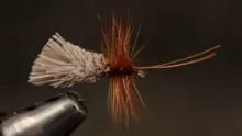 Video thumb for Goddard Caddis