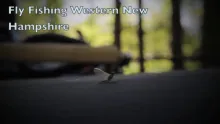 Video thumb for Fly Fish Western New Hampshire