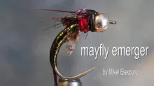 Video thumb for Mayfly emerger