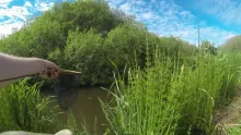 Video thumb for DryFly fishing in Denamark