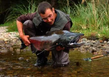 Video thumb for Fly fishing in New Zealand