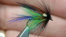 Video thumb for The Spectrum Dabbler