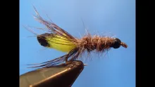 Video thumb for Peeking Caddis