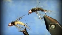 Video thumb for John Anderson's Bird of Prey caddis