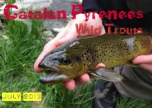 Video thumb for Fly fishing in the Catalan Pyrenees | Jul. 2013